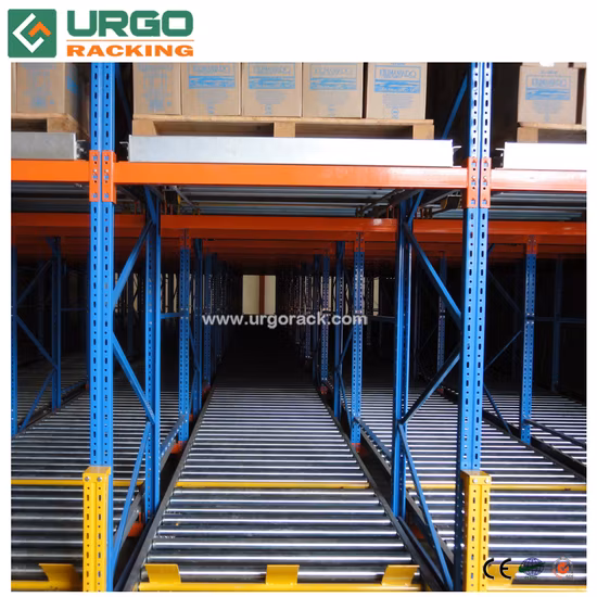 保管、プッシュバック付き重力ローラーパレットラック